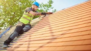 Best Roof Moss and Algae Removal  in Terry, MS