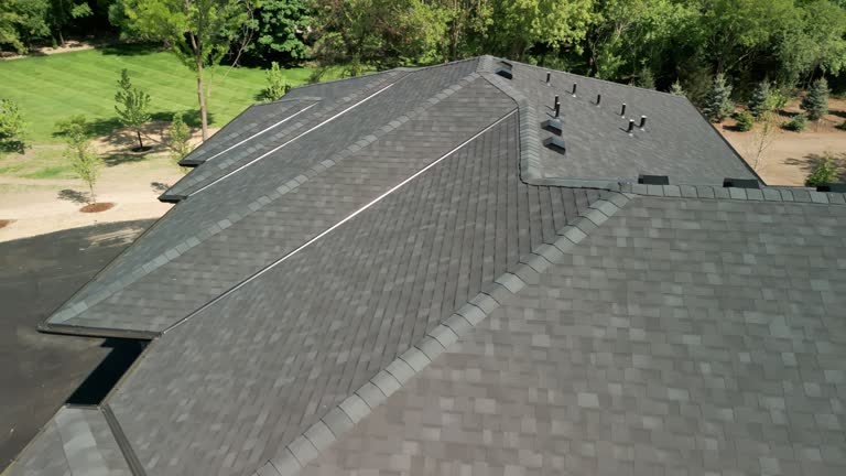 Best Skylight Installation and Repair  in Terry, MS