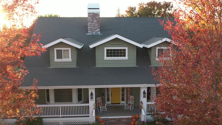 Best Roof Ventilation Installation  in Terry, MS