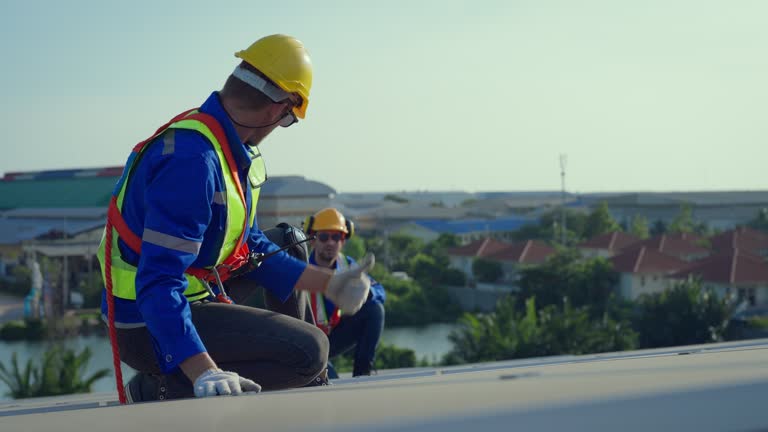Best Roof Insulation Installation  in Terry, MS