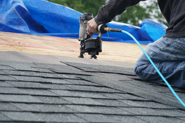 Best Gutter Installation and Repair  in Terry, MS