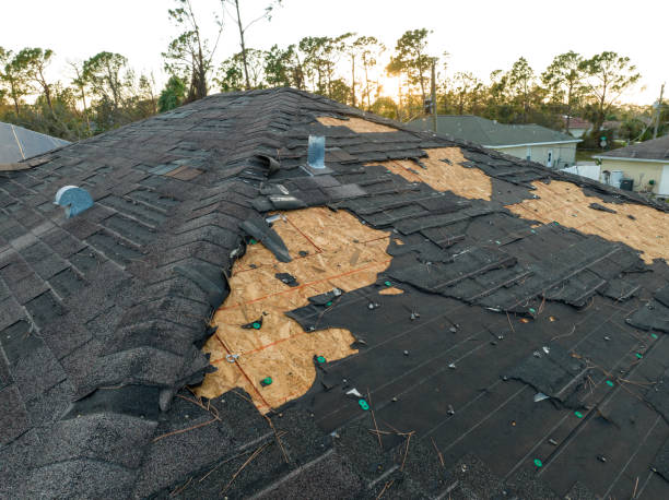 Professional Roofing Service in Terry, MS