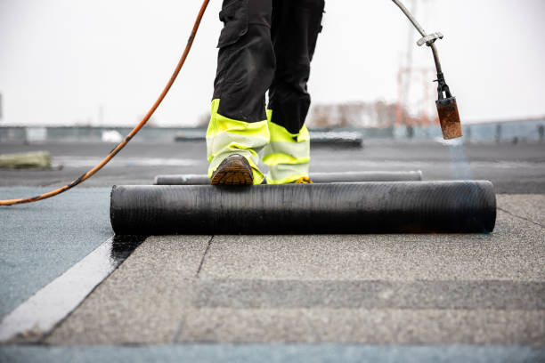 Best 4 Ply Roofing  in Terry, MS