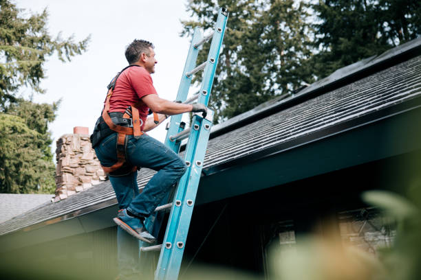 Best Metal Roofing Installation  in Terry, MS