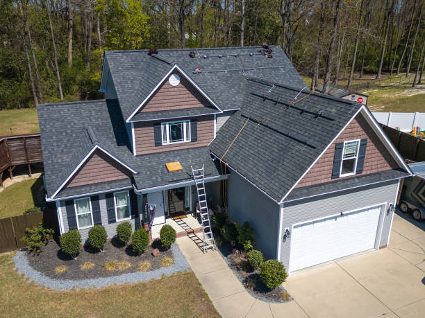 Best Roof Moss and Algae Removal  in Terry, MS