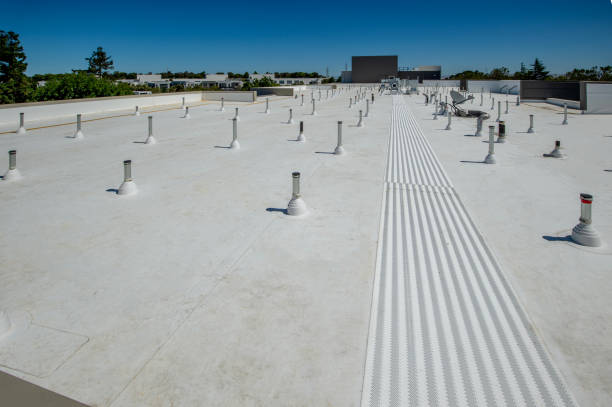 4 Ply Roofing in Terry, MS